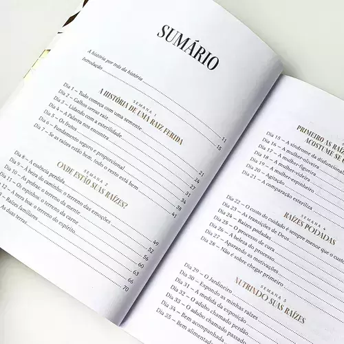 Pagina de Sumario do Livro Mulheres Enraizadas de Viviane Martinello